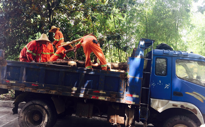 我校积极开展强对流天气突袭应对处置工作